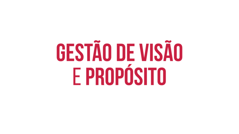 Gestão de visão e propósito